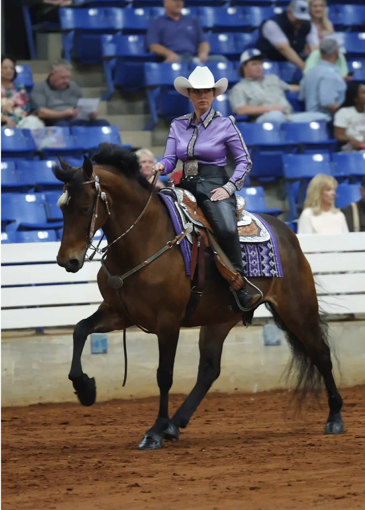 @Miranda | Equine Photographer