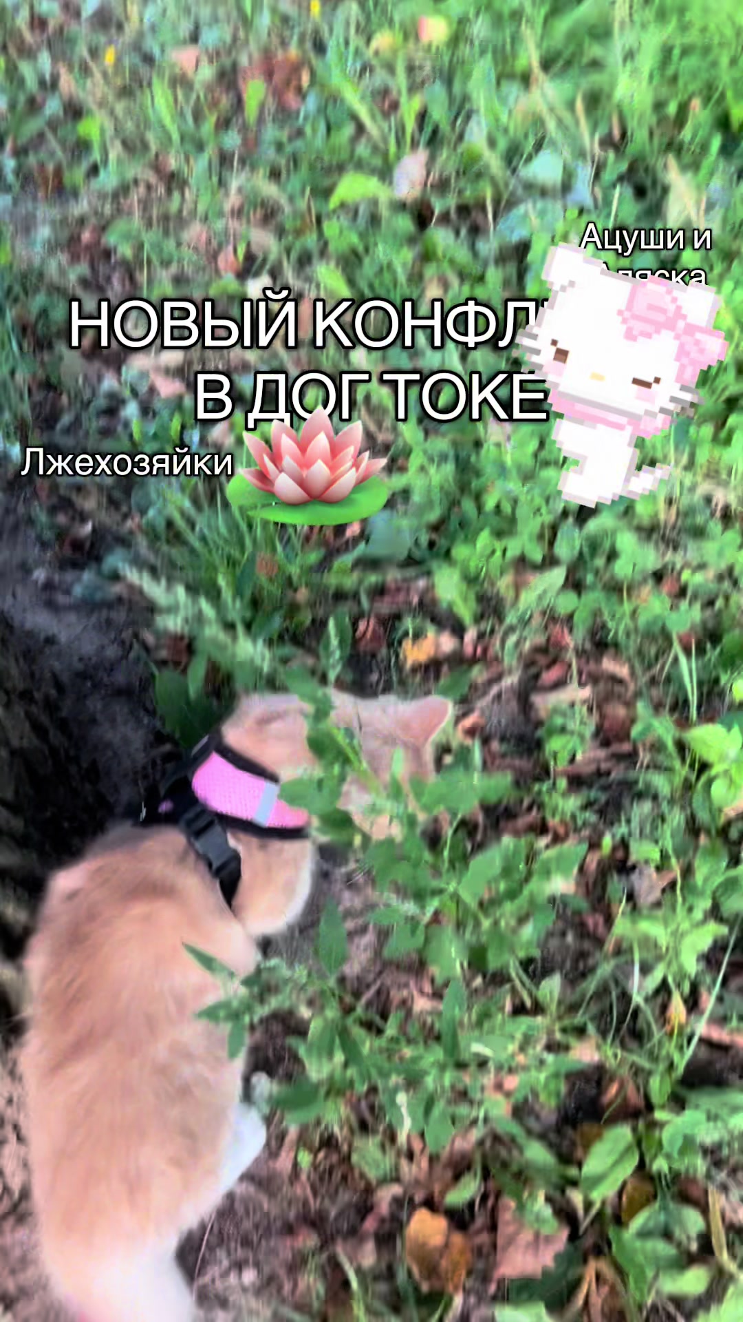 @🌸|| 𝓡𝓪𝓰𝓱𝓪𝓽𝓪||🌾