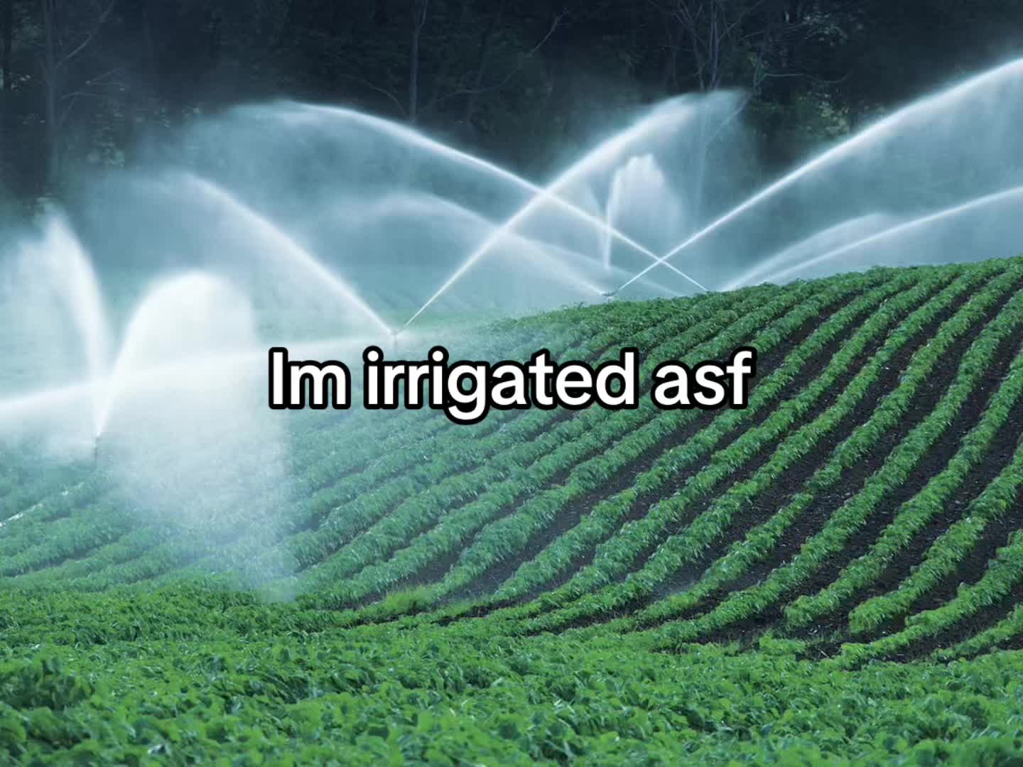 @D>E>V>I>N