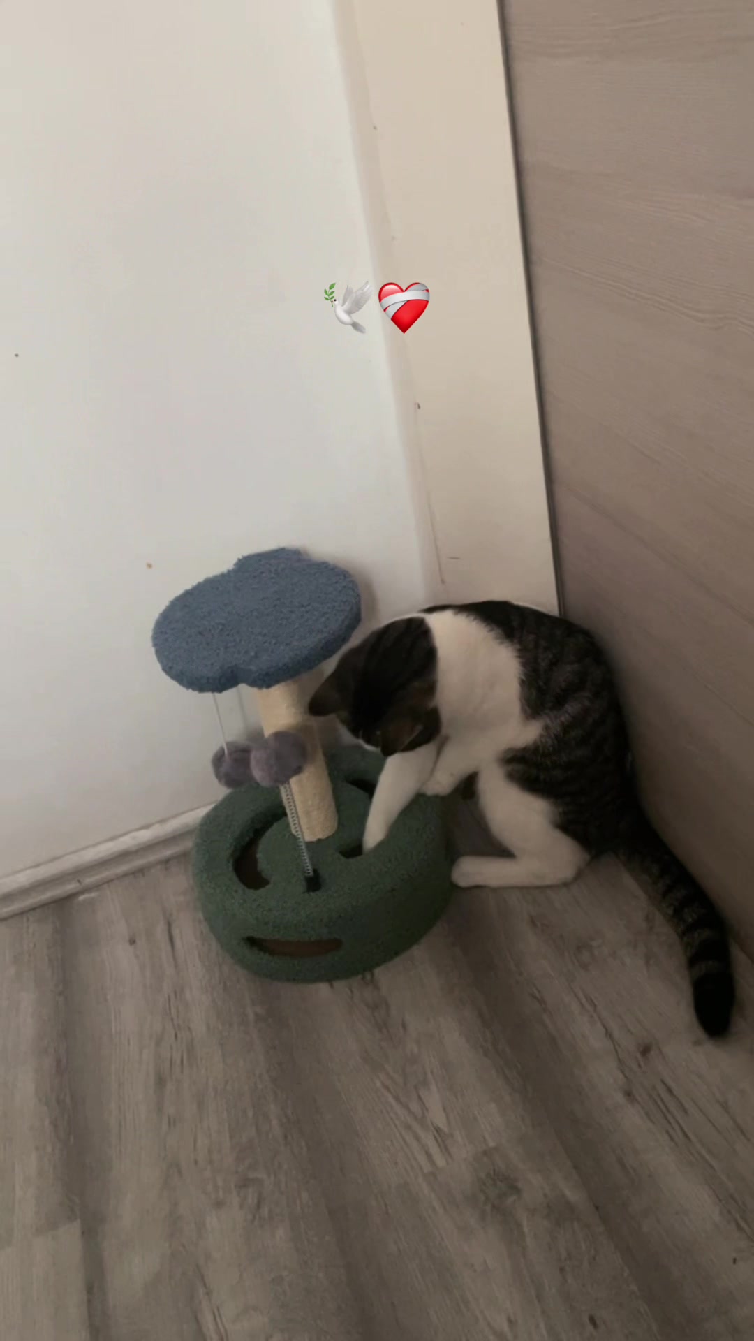 @𝗔 𝗟 𝗘 𝗫 𝗔