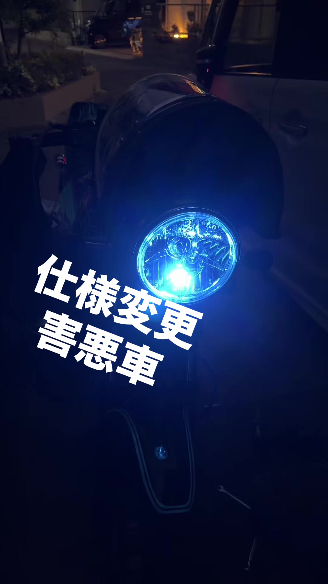 @ハーフ顔のゴキブリ🪳
