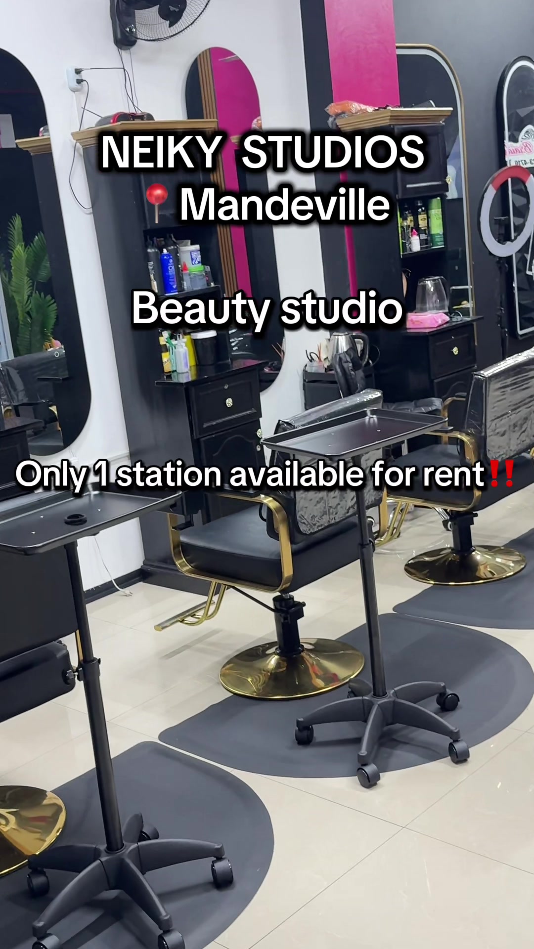 @NEIKYBRAIDS/ NEIKY STUDIOS