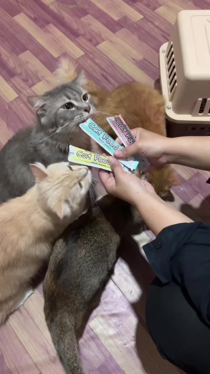 @BUMI ANABUL😺