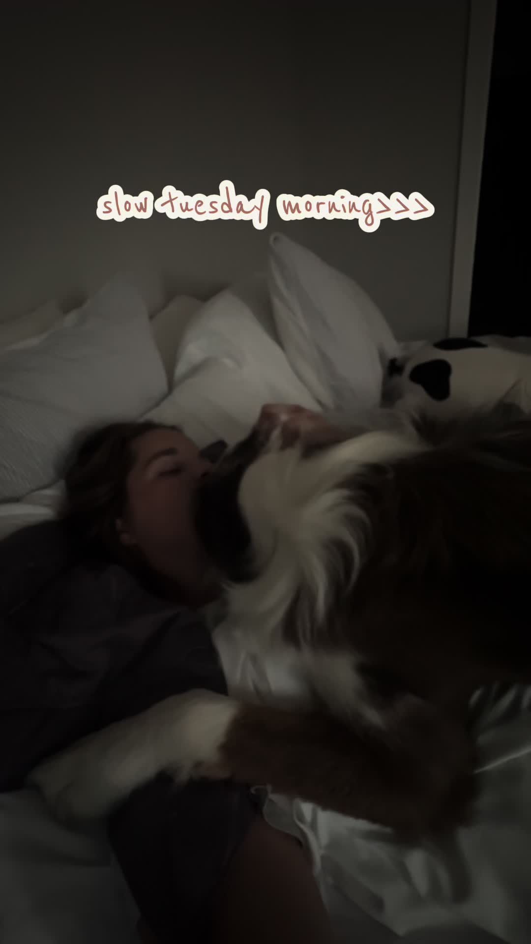@maddiewhite