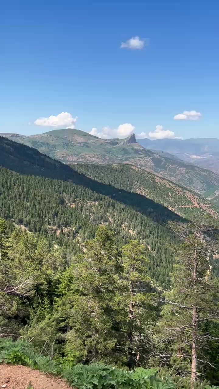 @Bir kelebek 🦋 misali ömrüm