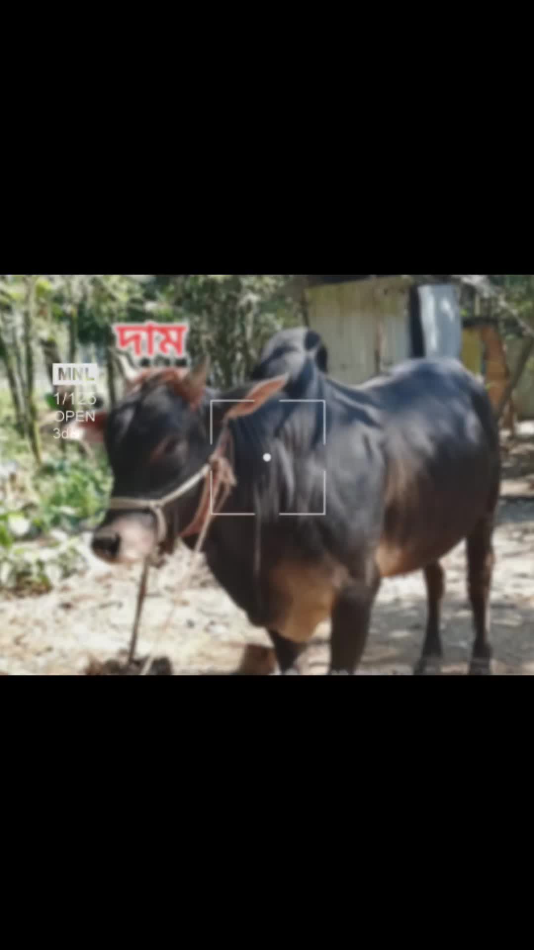 @Sk.Shuvo.vai.019