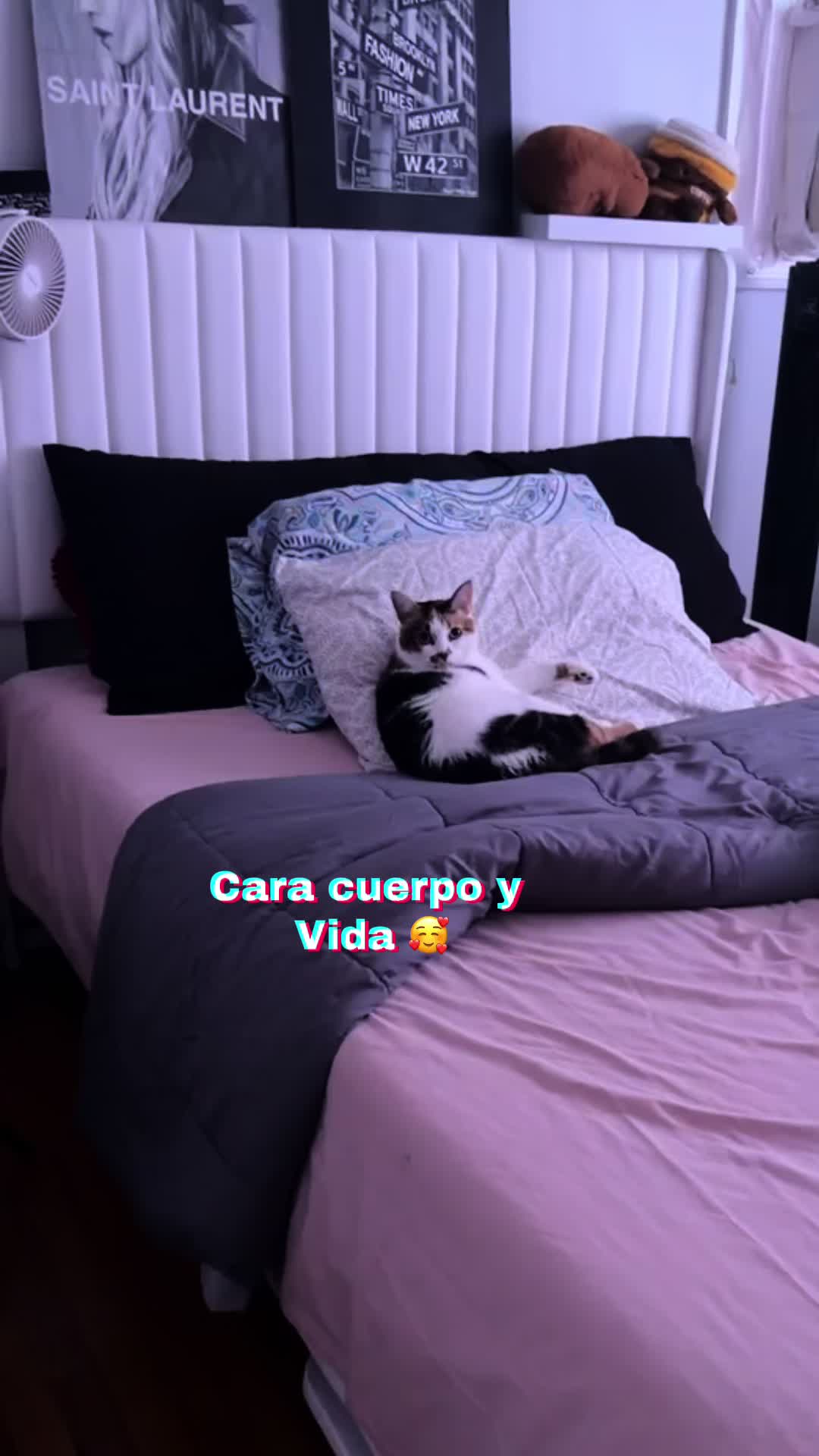 @Elidetodounpoco