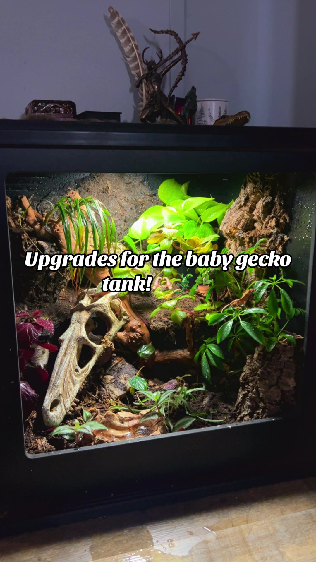 @Mystic.Morphs