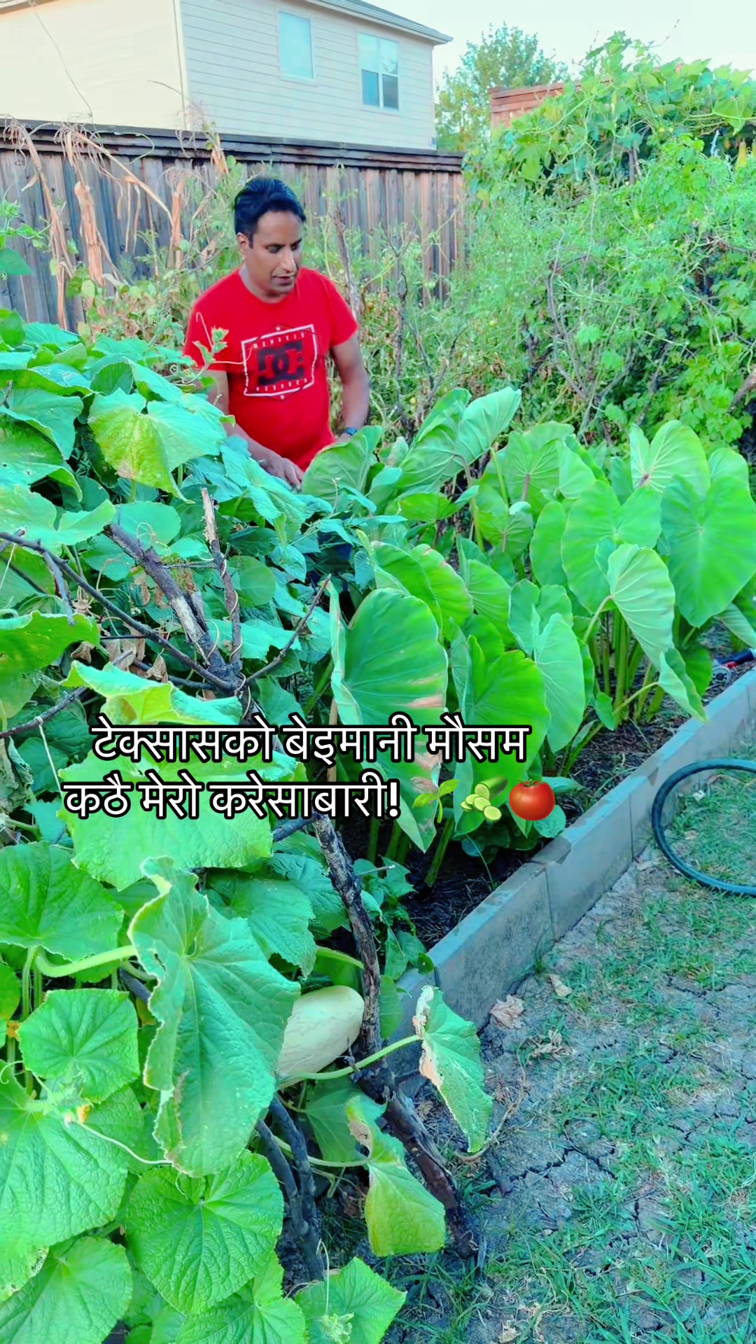 @Dirga Kandel🇳🇵❤️ 🇺🇸 🙏🙏