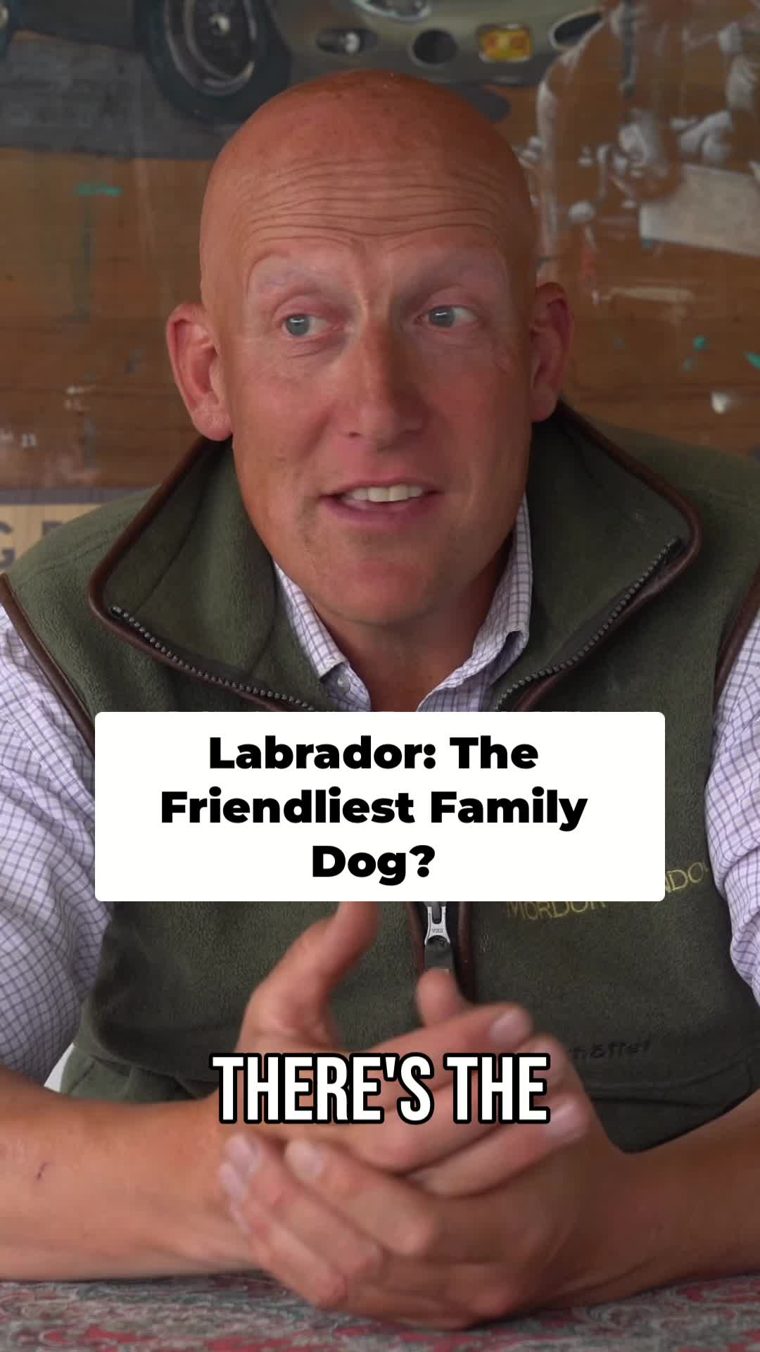 @Mordor Gundogs