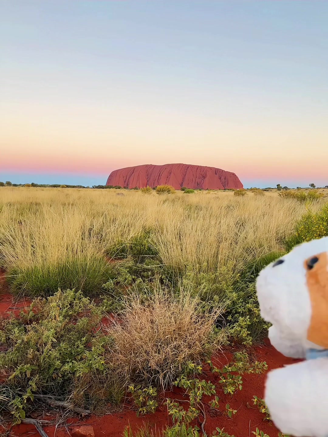 @Tivanny 🇦🇺