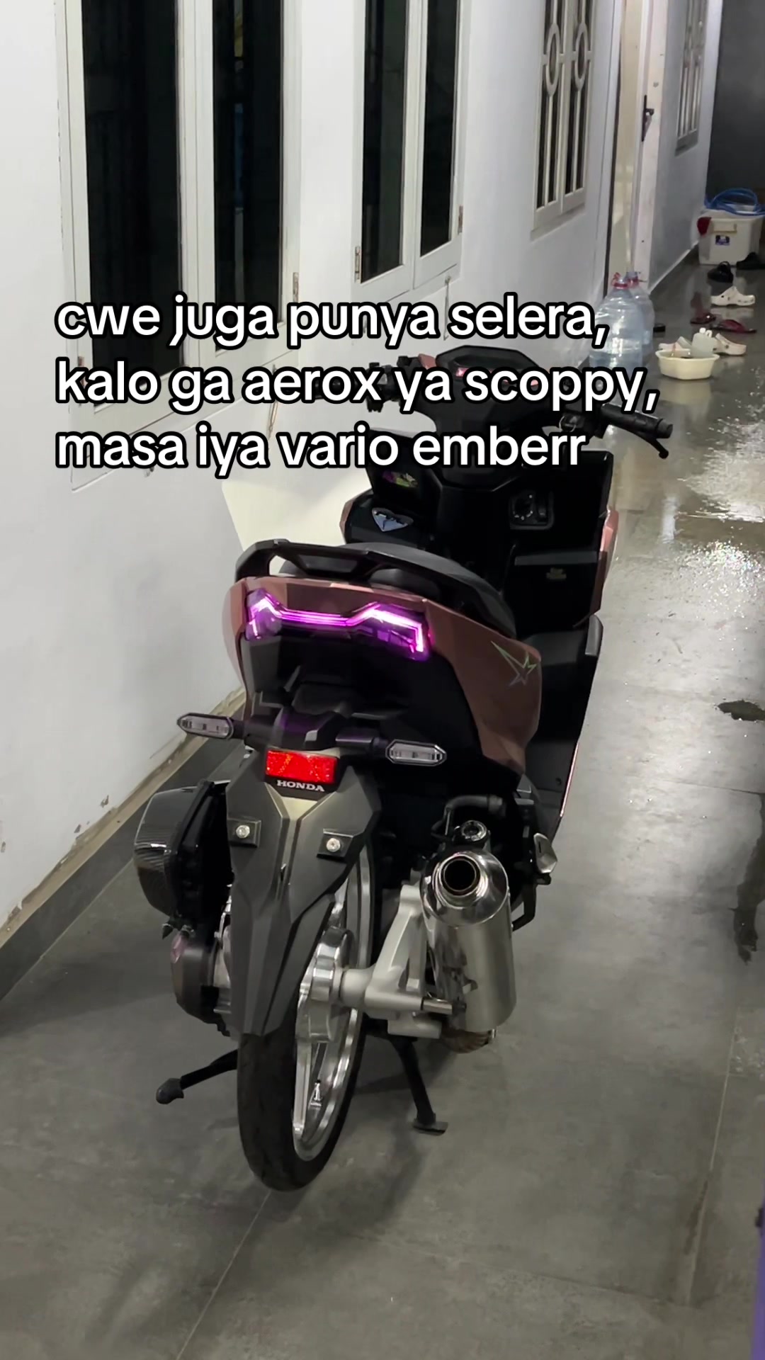 @rajaa