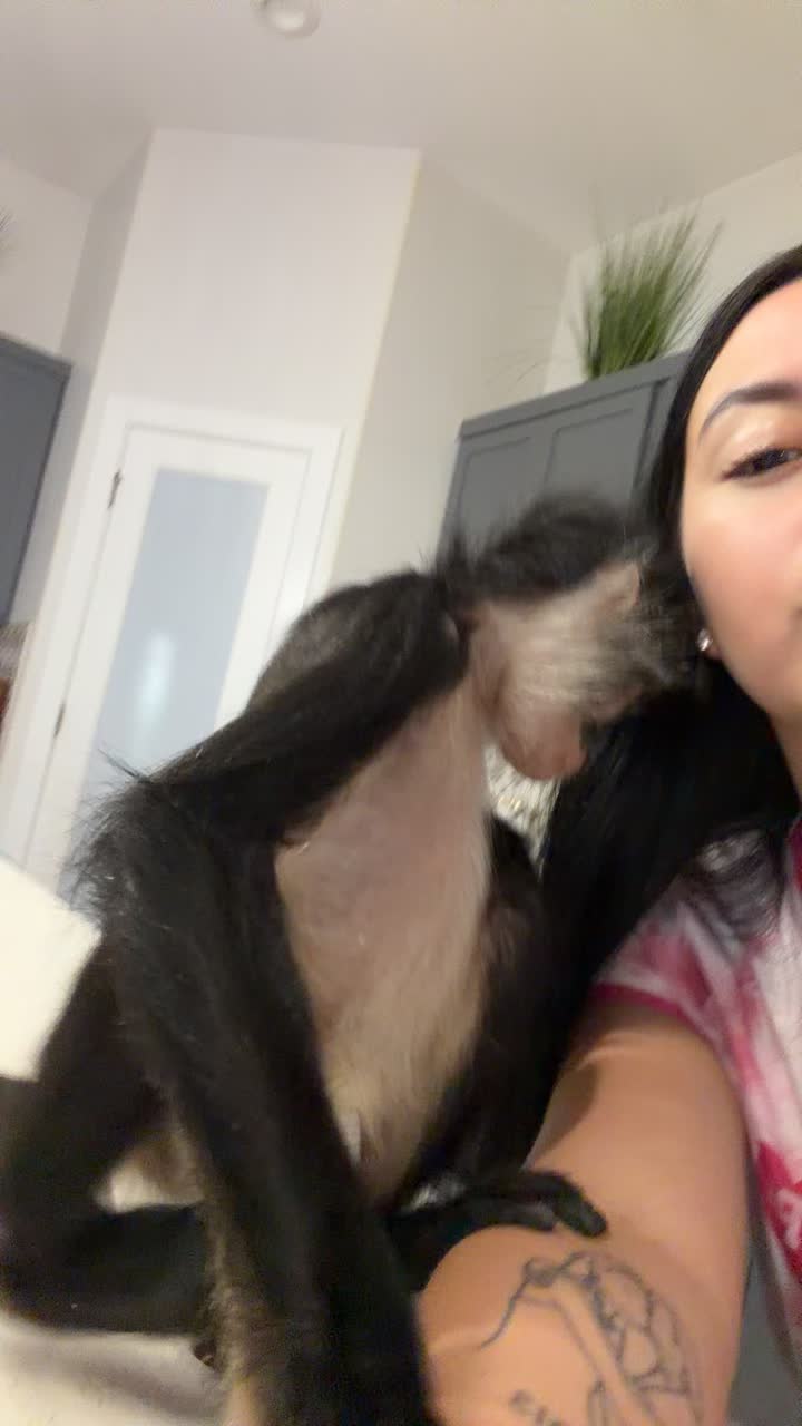 @Valeria Soto