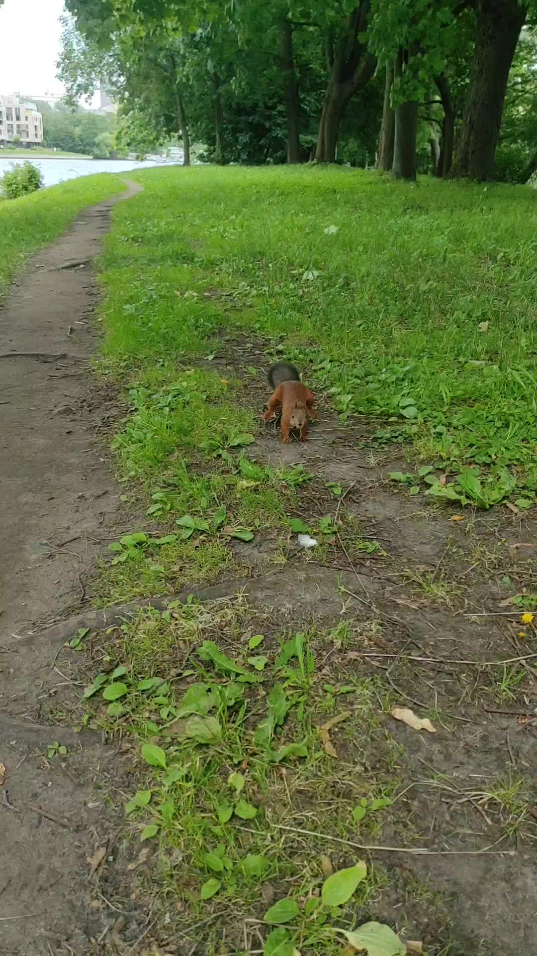 @Инга Соркина