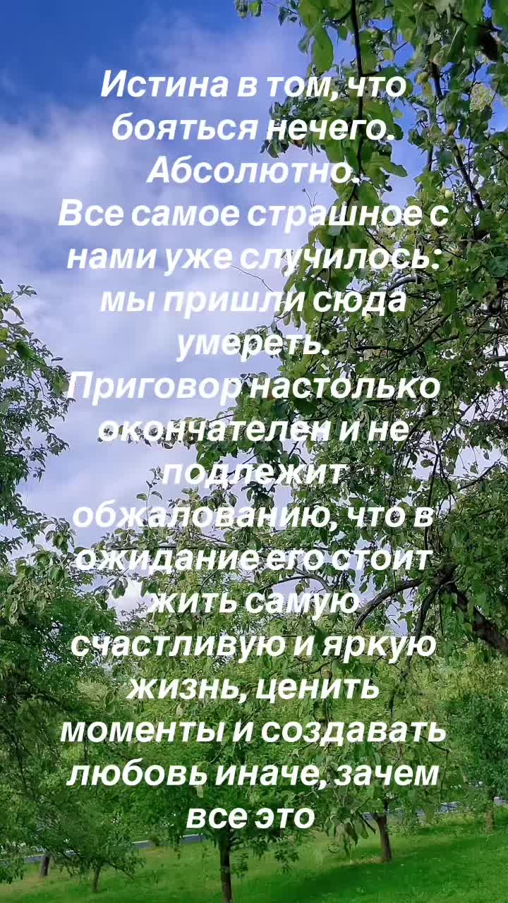 @Елена Фролова5420