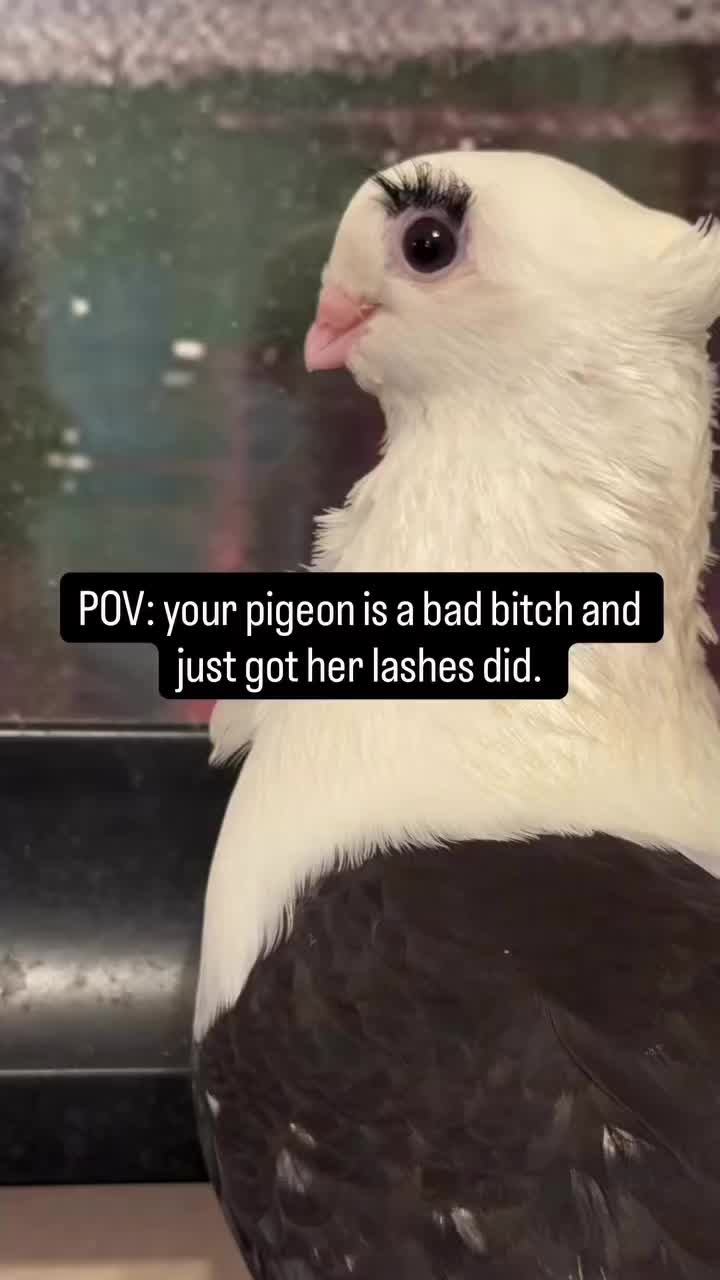 @Matt