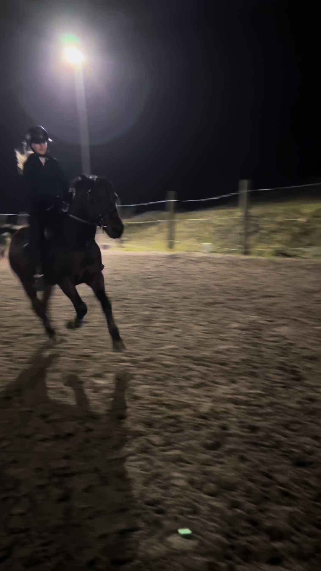 @eq.ricciardella