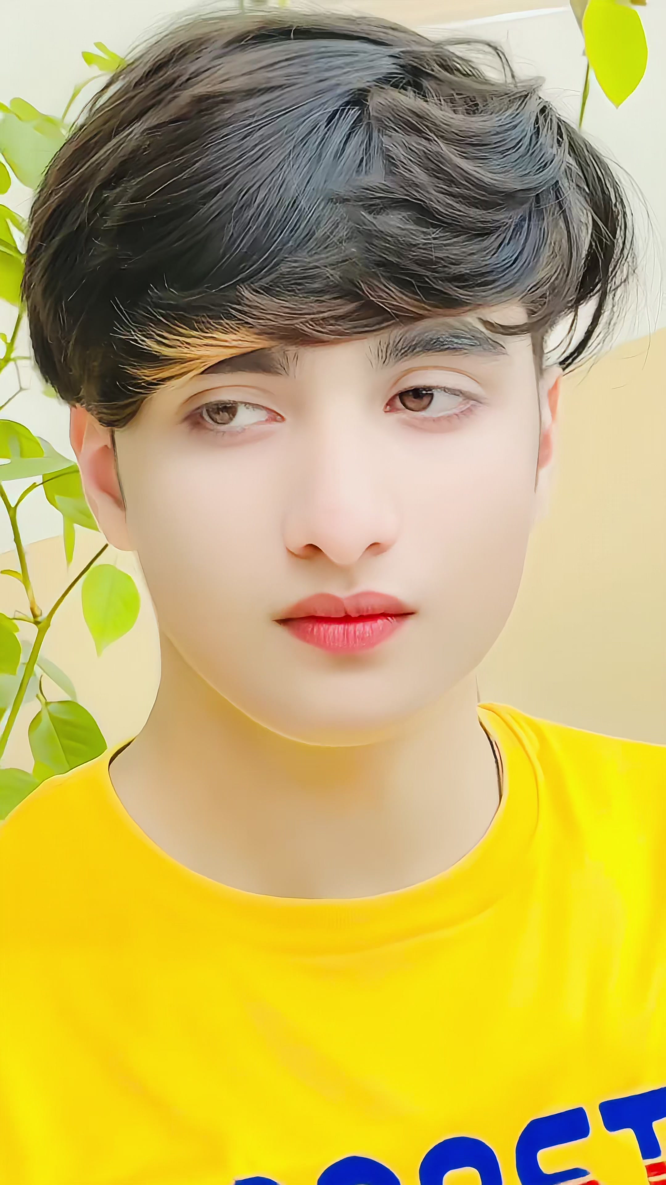 @Sham/official