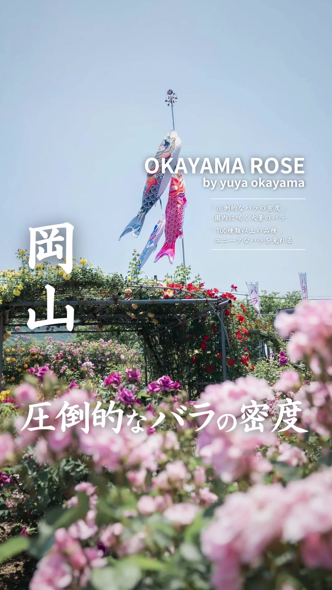 @おかやま暮らし
