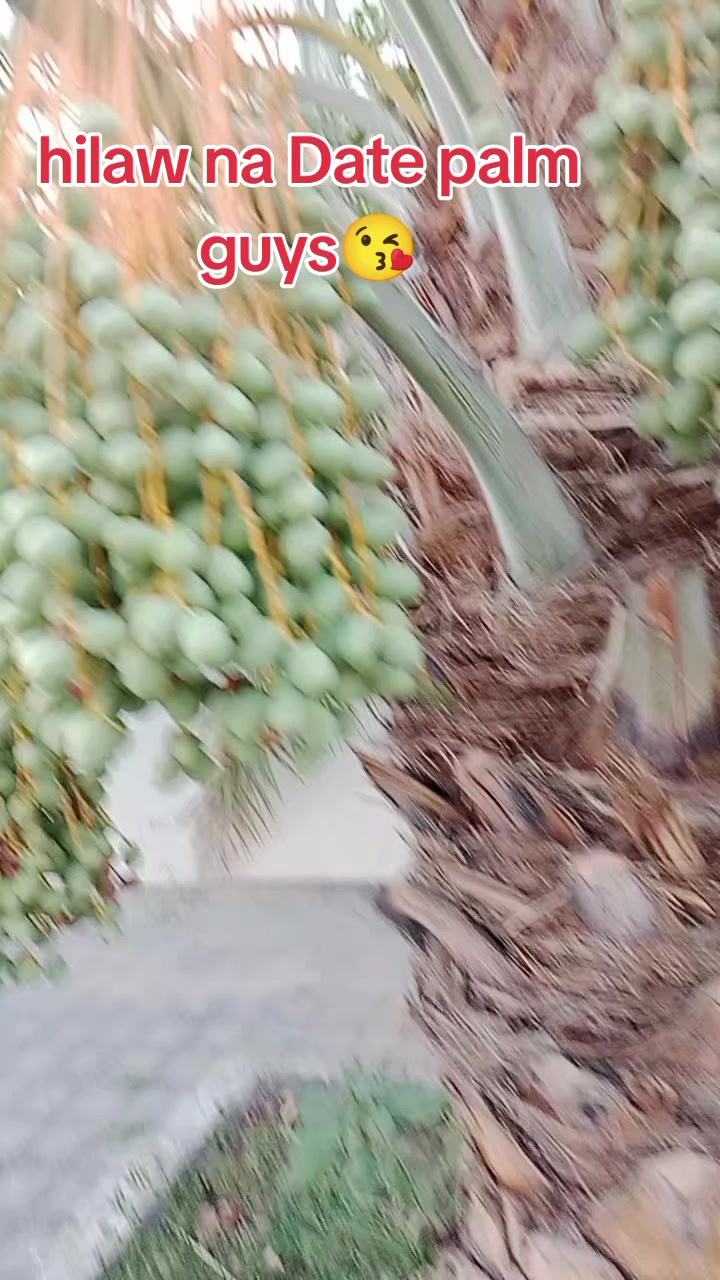@ScorpioGirl06
