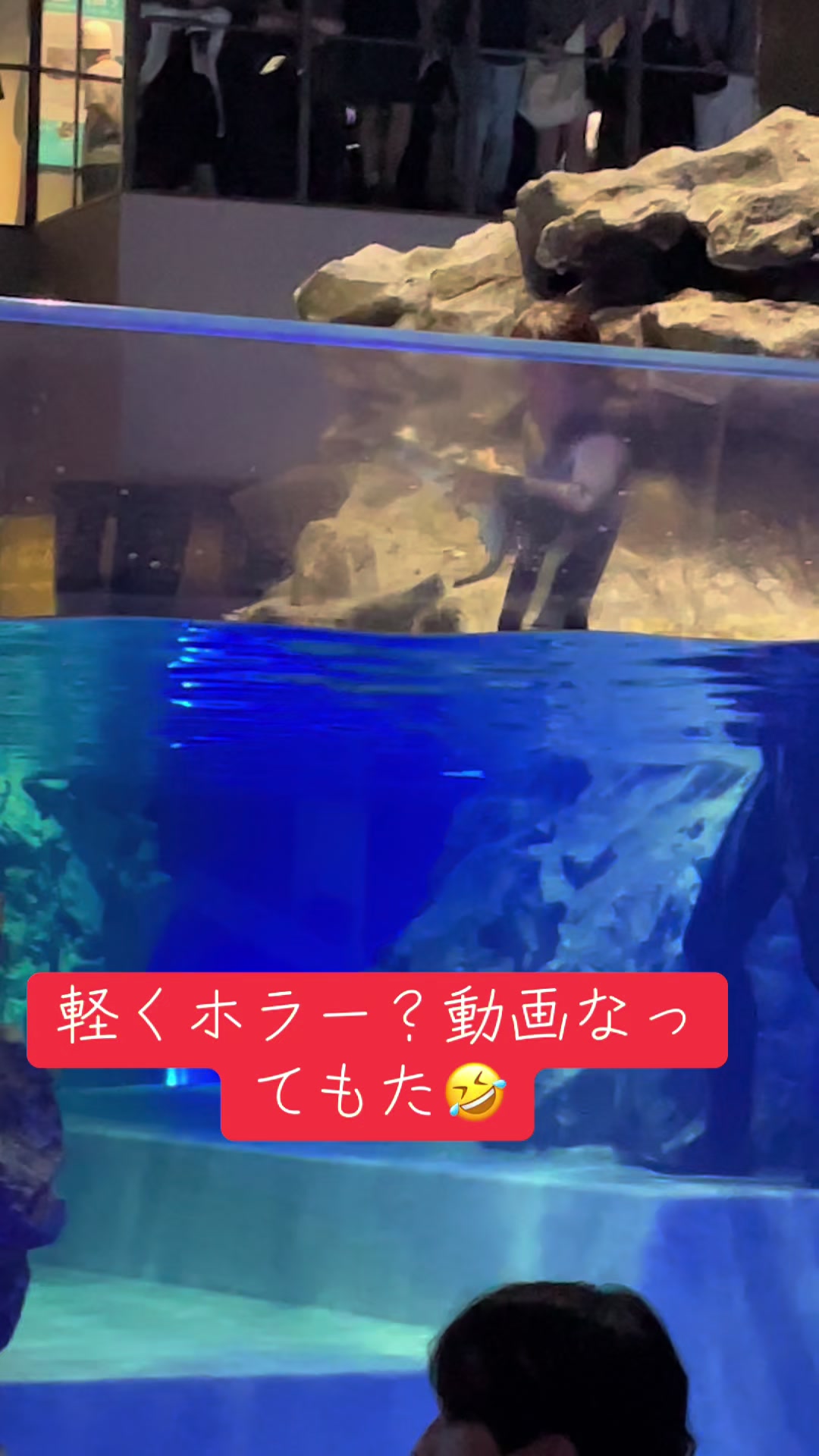 @たまクラ🪼🌙(｀･&omega;･&acute;)ゞ