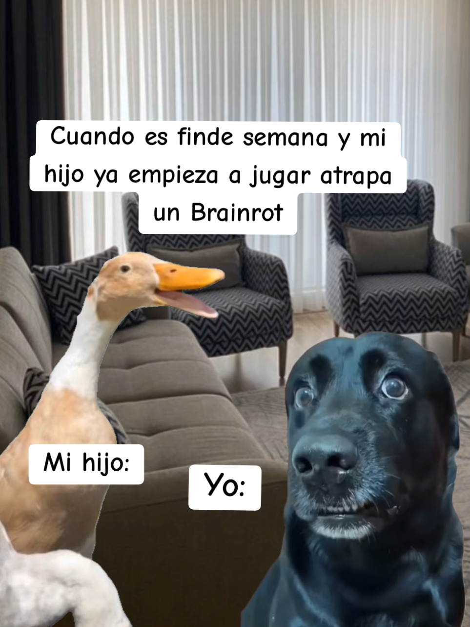 @𝐌𝐚𝐫𝐲