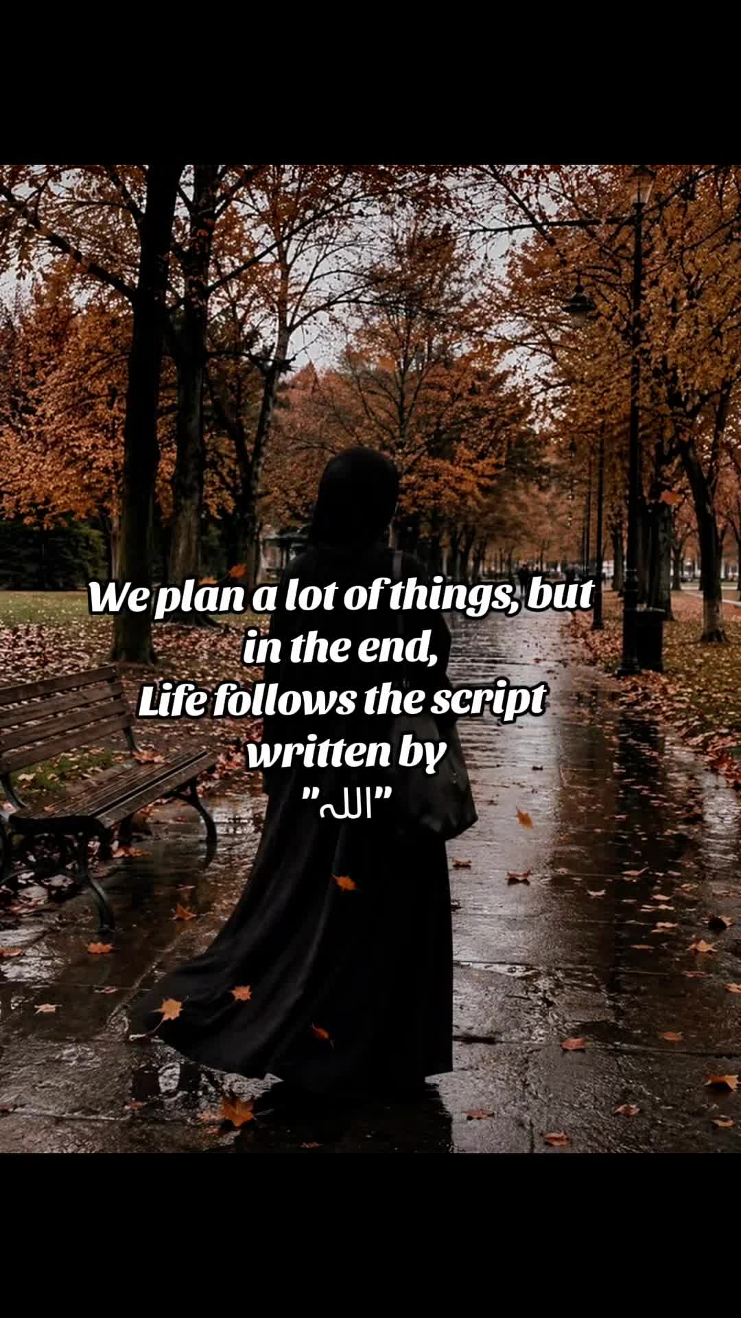 @🌸shayri.k🌸