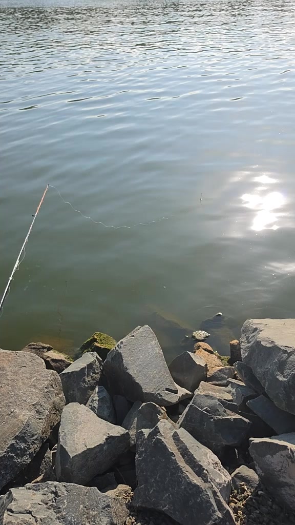 @лев