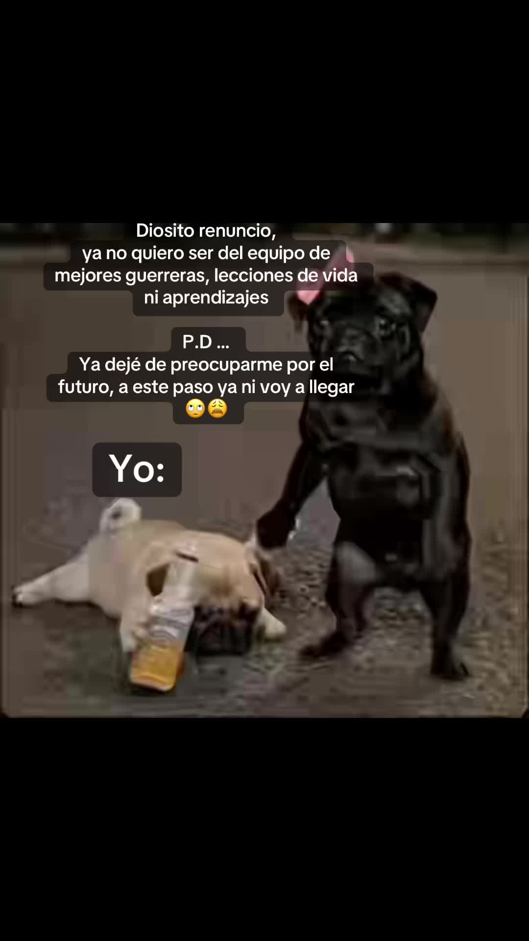 @💫Juan☄️