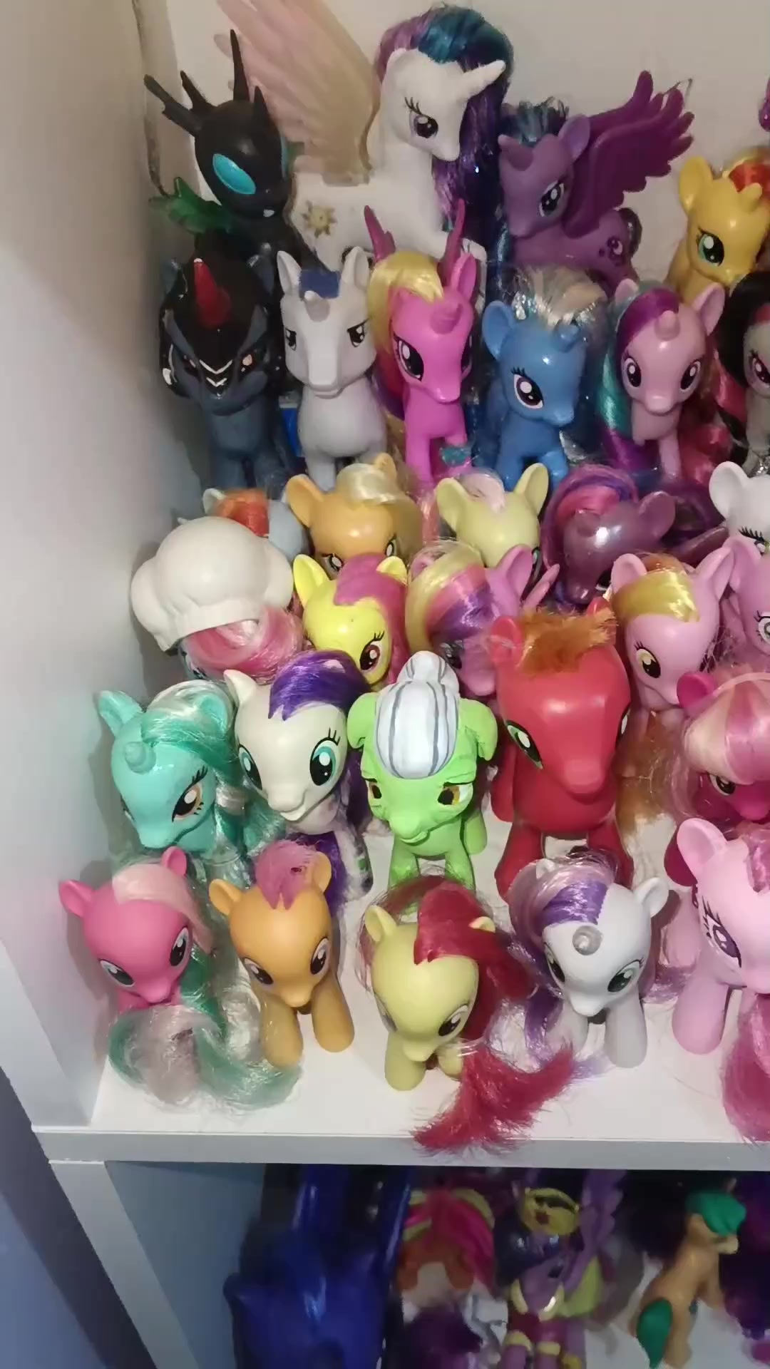 @hibicosshion