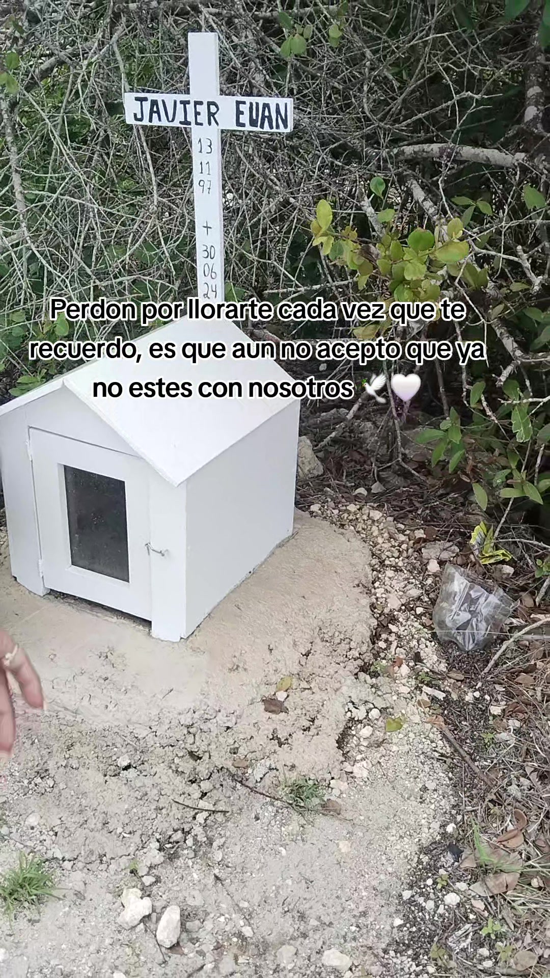 @issa_0499🦋🐚✨️