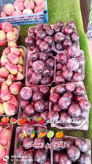 @🌿MOUSSA🫒Olive🥒Biskra🌴