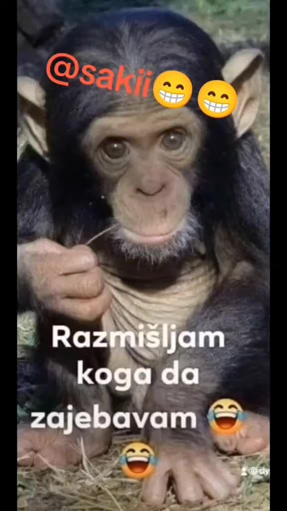 @SAKII🫡1🫡1🫡1🫡1