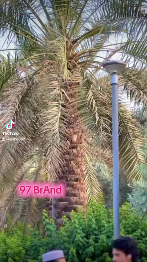 @A k khano 97