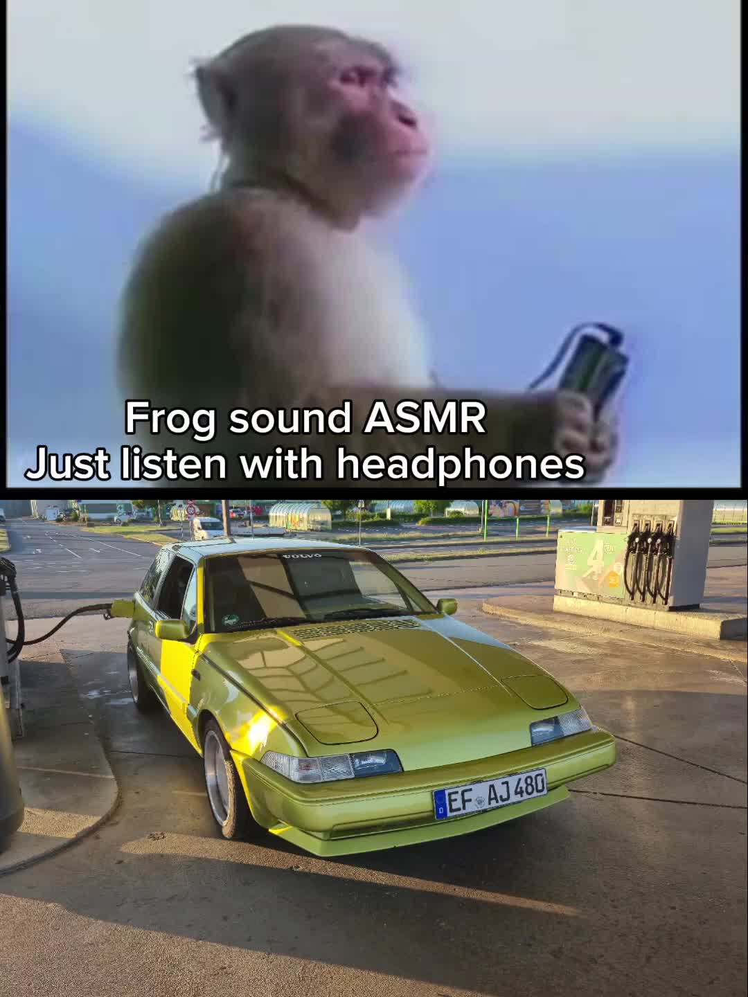 @Froggie Volvo #FCKNZS