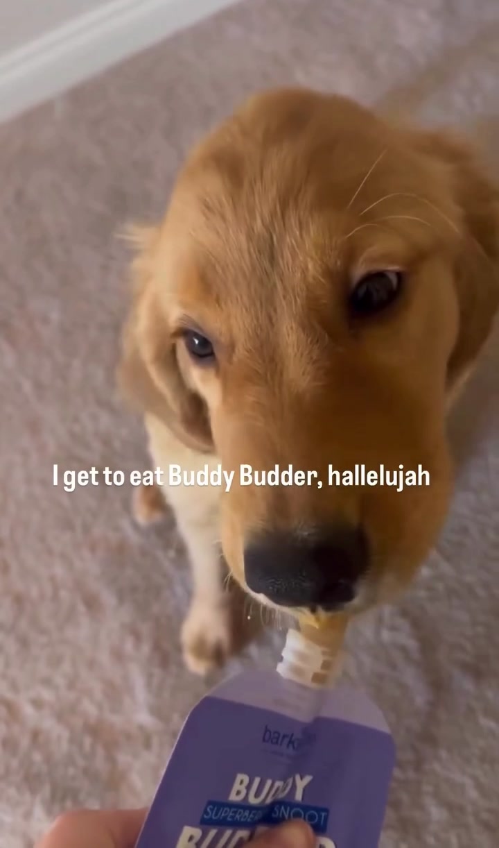 @Buddy Budder