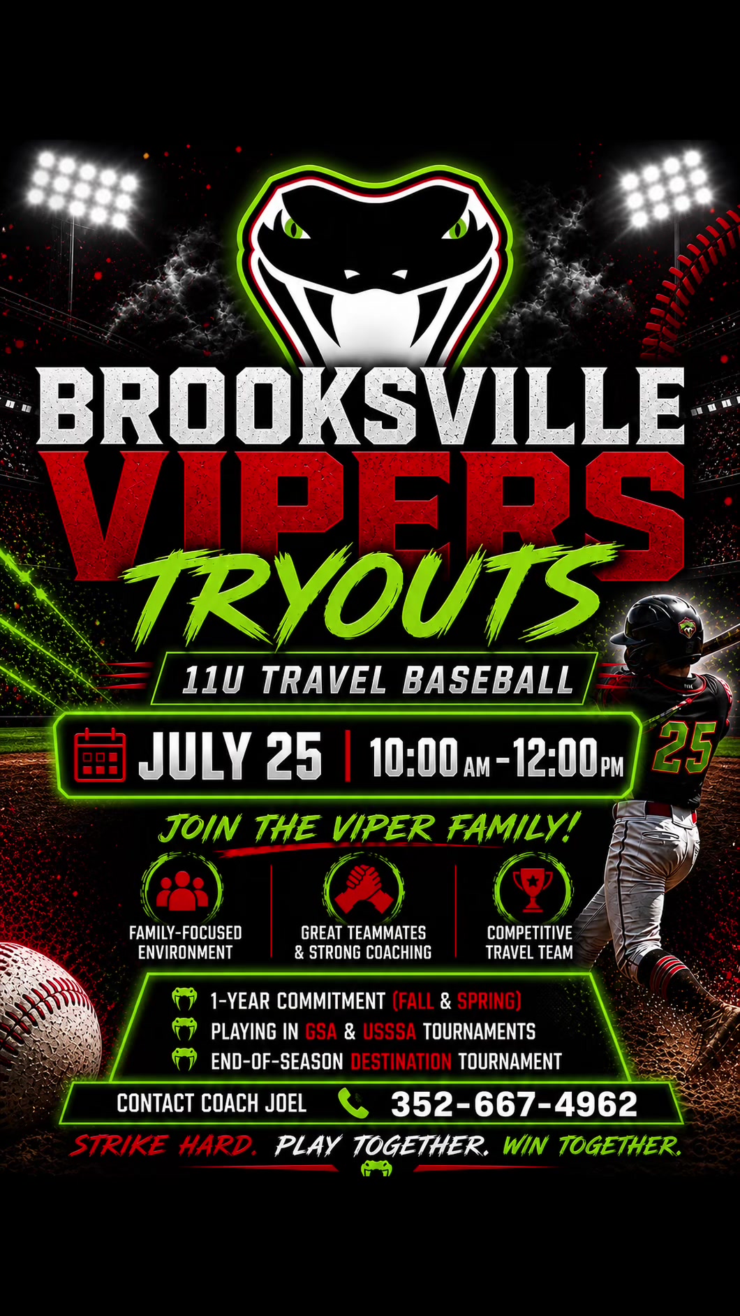 @Brooksville Vipers Baseball