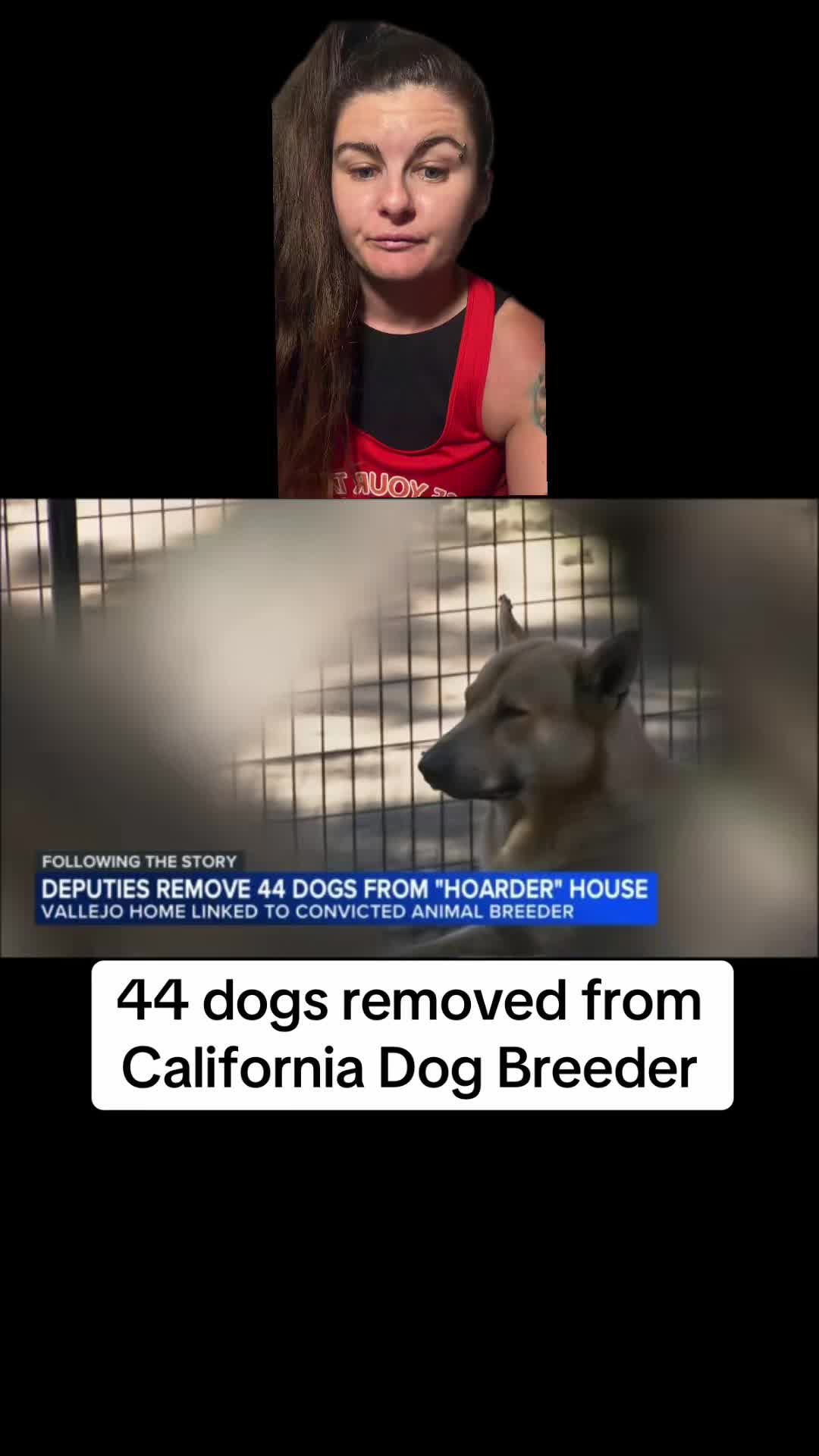 @Jess Shark🐾DOG PACK🐾