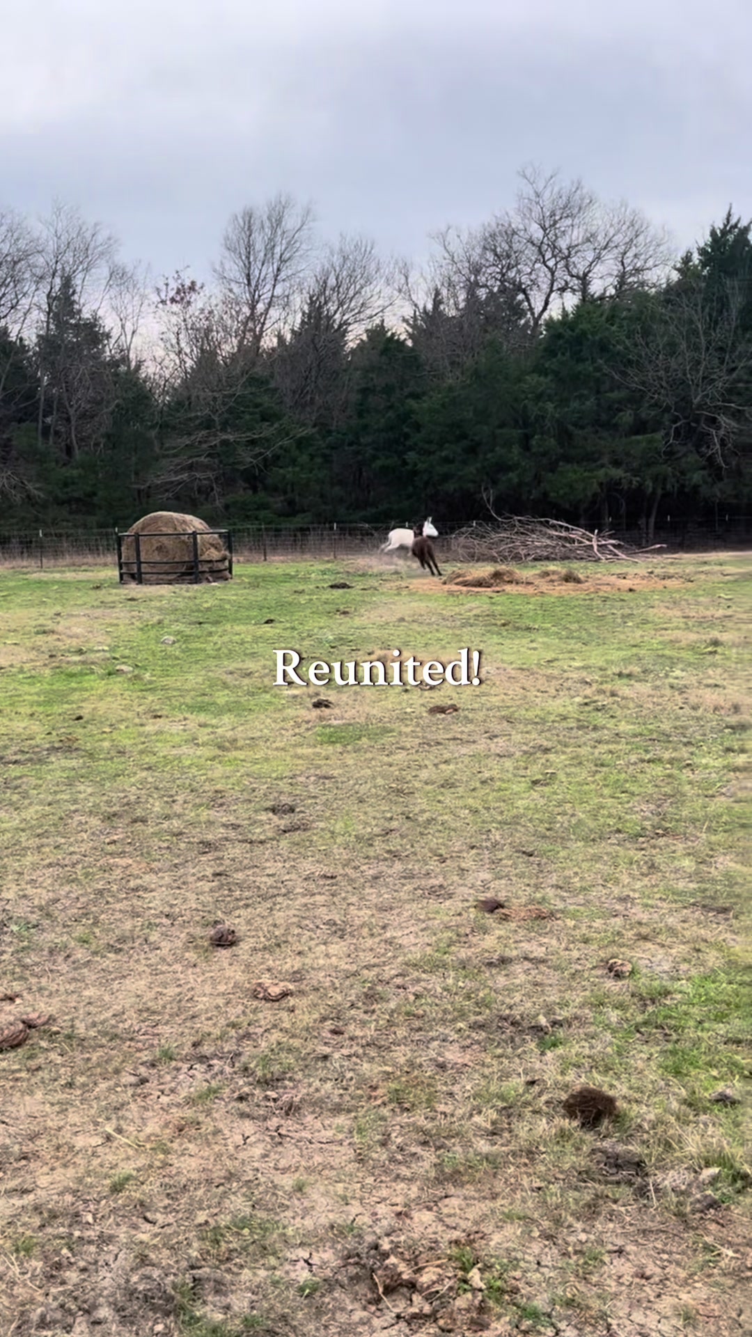 @C&K Ranch