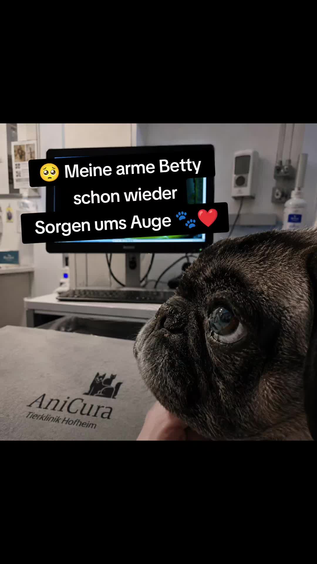 @Dr. Betty Boo