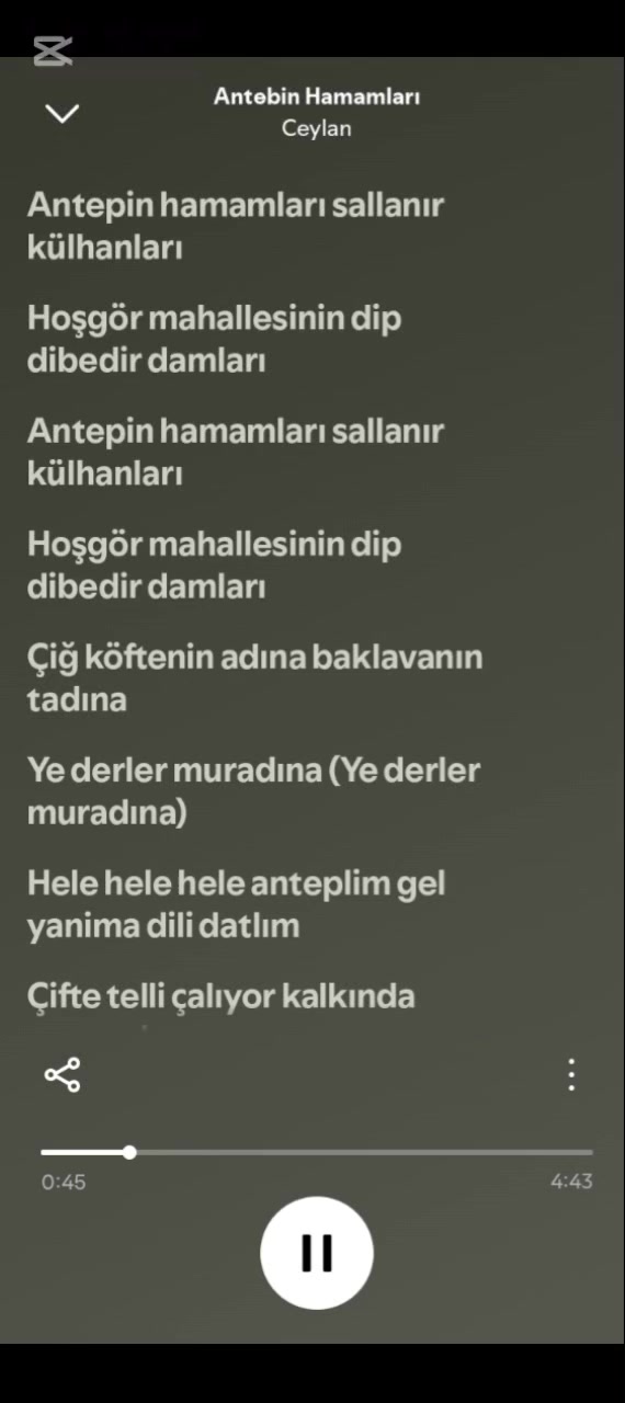 @spotify.mehmet