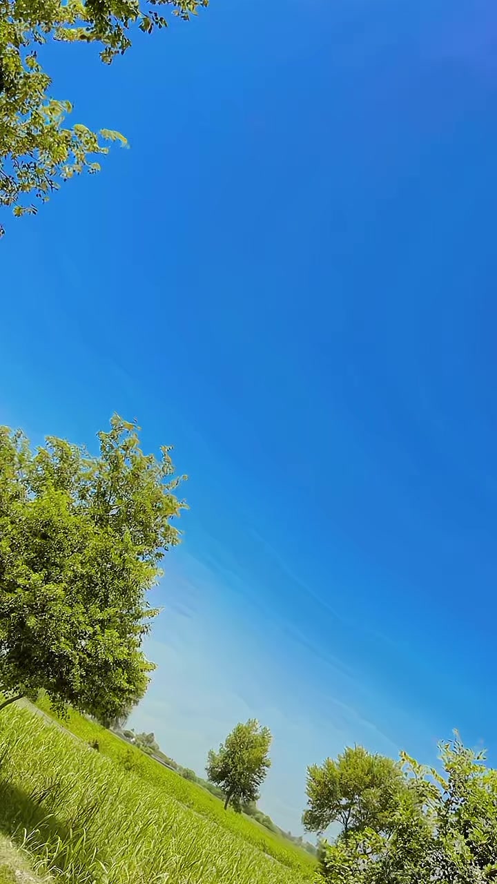 @2yaar478