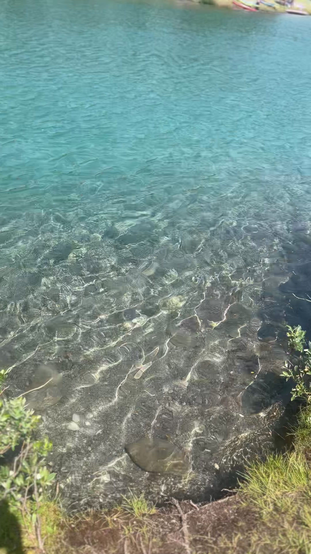 @Bali khan Jadoon 🇨🇦🇵🇰
