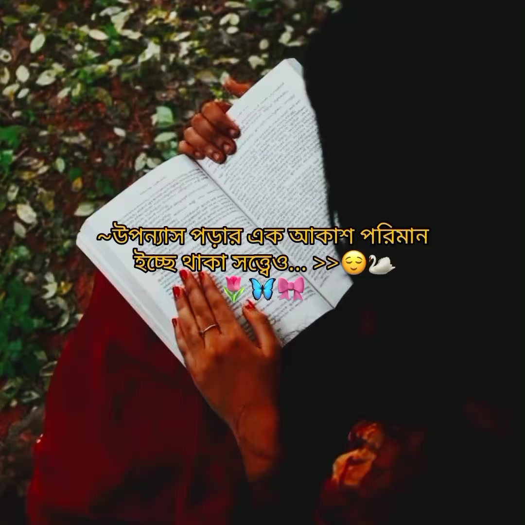 @💜𝑇𓂅⋆﹅ഒ﹅๑💜
