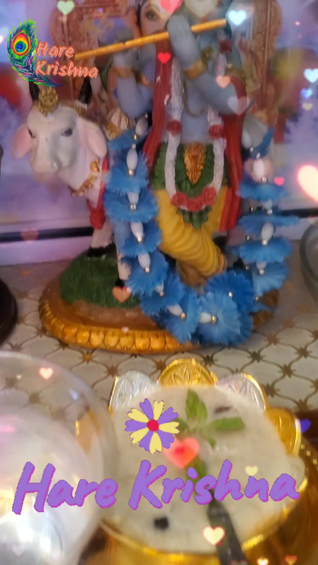 @🌺🧿 Rosh_Ram 🧿🌺