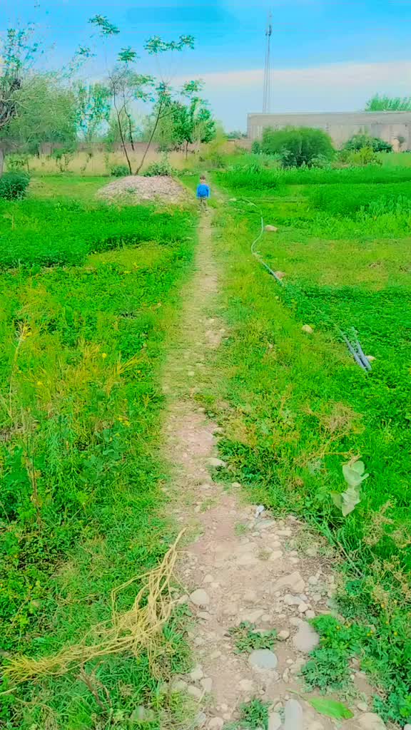 @Amjad Afridi