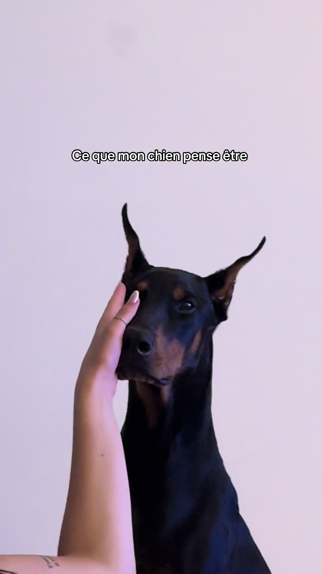 @Ar&egrave;s 🐶