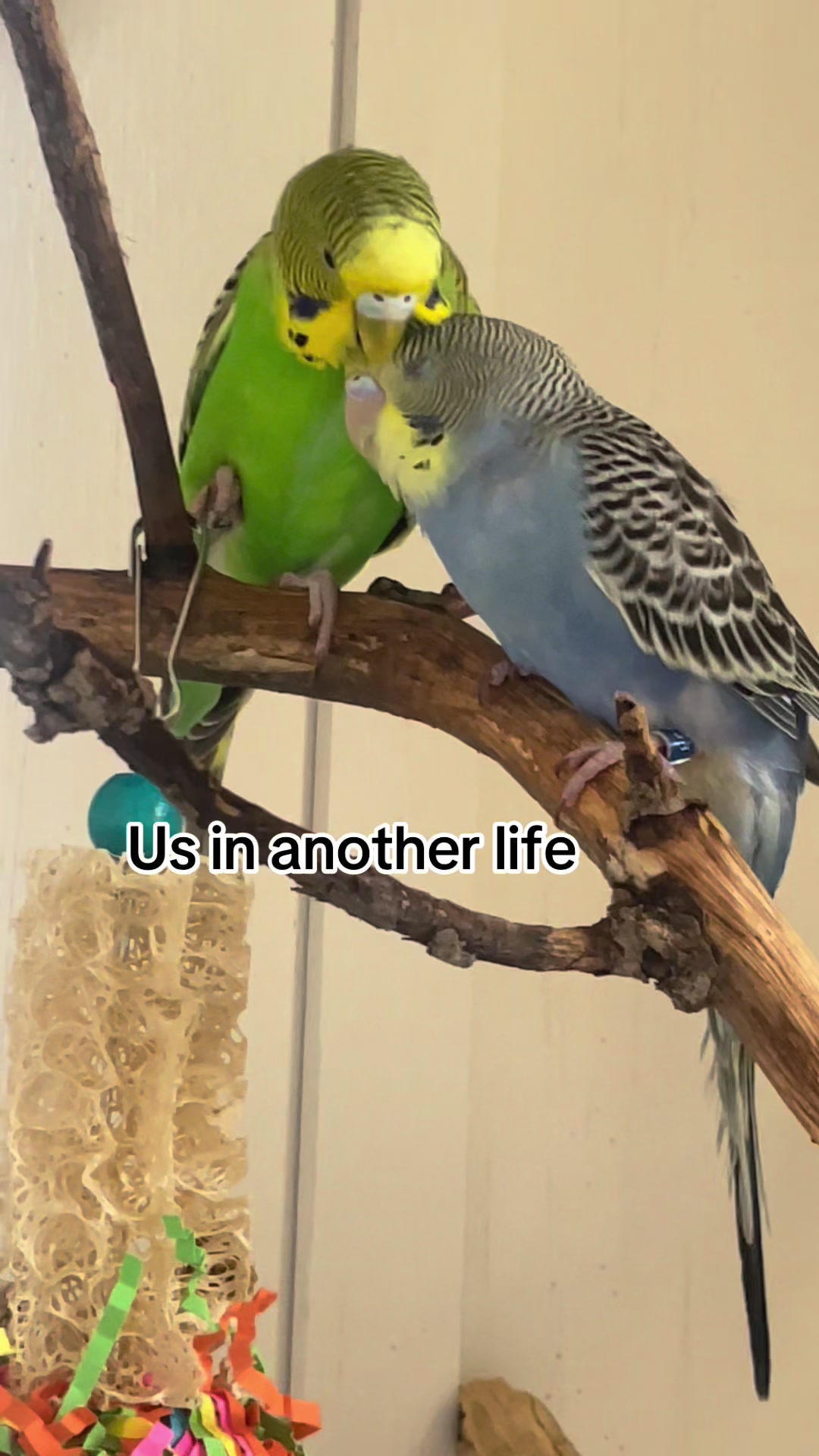 @️