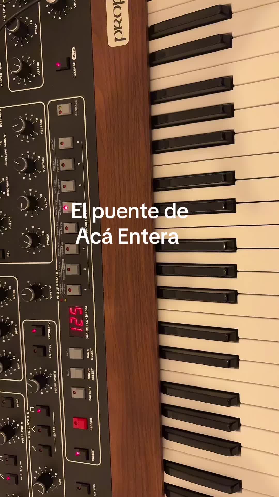 @Javiera Mena