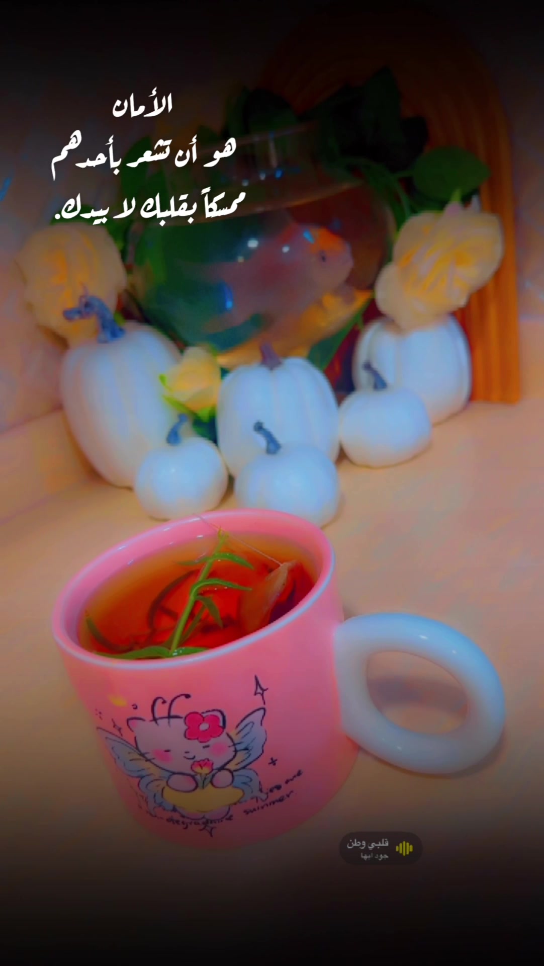 @العسيرية 🌺